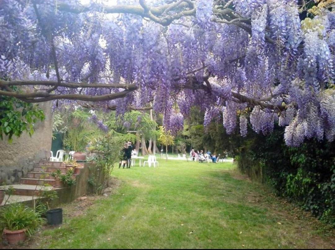 Agriturismo Feudo Tudia Landro ภายนอก รูปภาพ
